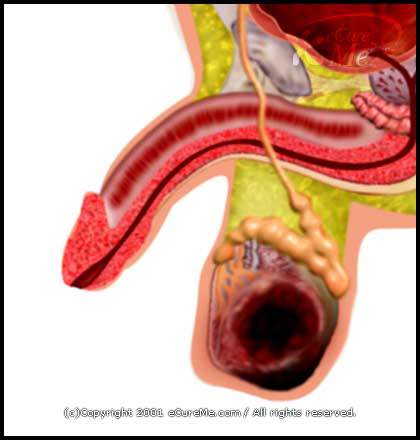 treatment for testicular cancer